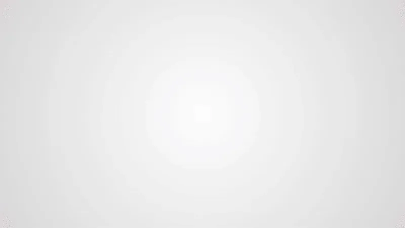 Handiversité (logo & charte), visuel 4